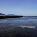 3883-3.jpg