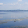 3884-1.jpg
