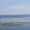 3886-1.jpg