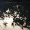 3886-3.jpg