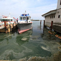 3887-2.jpg