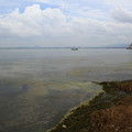 3887-3.jpg