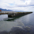3889-2.jpg