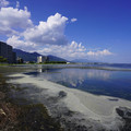 3893-3.jpg
