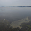 3900-1.jpg