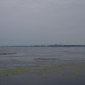 3900-2.jpg