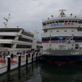 3900-3.jpg