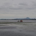 3901-1.jpg