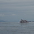 3902-1.jpg