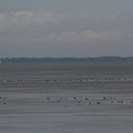 3903-1.jpg