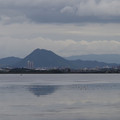 3906-2.jpg