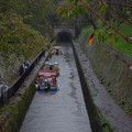3911-1.jpg