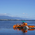 3916-1.jpg