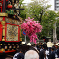 3919-2.jpg