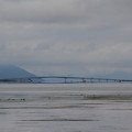 3922-1.jpg
