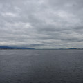 3923-2.jpg