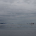 3925-2.jpg