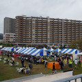 3925-3.jpg