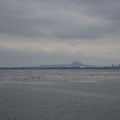 3932-1.jpg