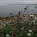 3932-2.jpg
