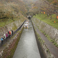 3933-1.jpg