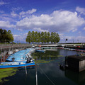 3934-3.jpg