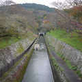 3938-1.jpg
