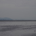 3938-3.jpg