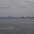 3940-1.jpg