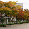 3943-3.jpg