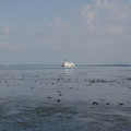 3945-1.jpg