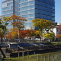3946-3.jpg