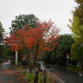 3947-1.jpg