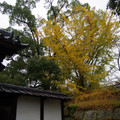 3947-2.jpg