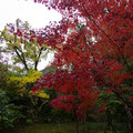 3947-3.jpg