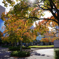 3948-2.jpg