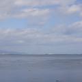 3949-1.jpg