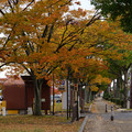 3949-2.jpg