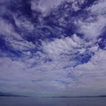 3950-1.jpg