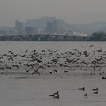 3951-2.jpg