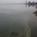3951-3.jpg