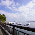 3952-2.jpg