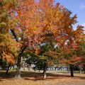 3952-3.jpg