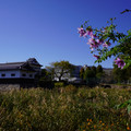 3954-3.jpg