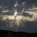 3955-3.jpg