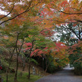 3956-1.jpg