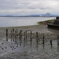 3957-1.jpg
