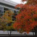 3957-2.jpg