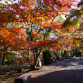 3958-1.jpg