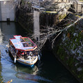 3958-2.jpg